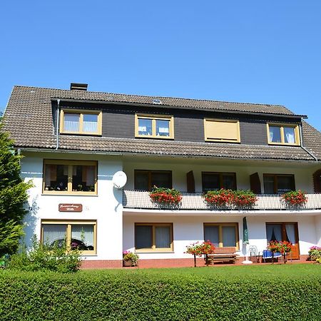 Fewo Wilke Willingen  Exterior photo