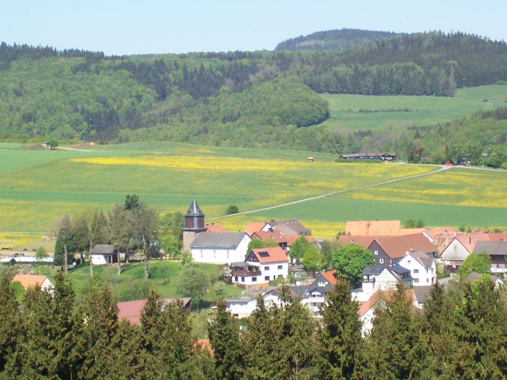 Fewo Wilke Willingen  Exterior photo