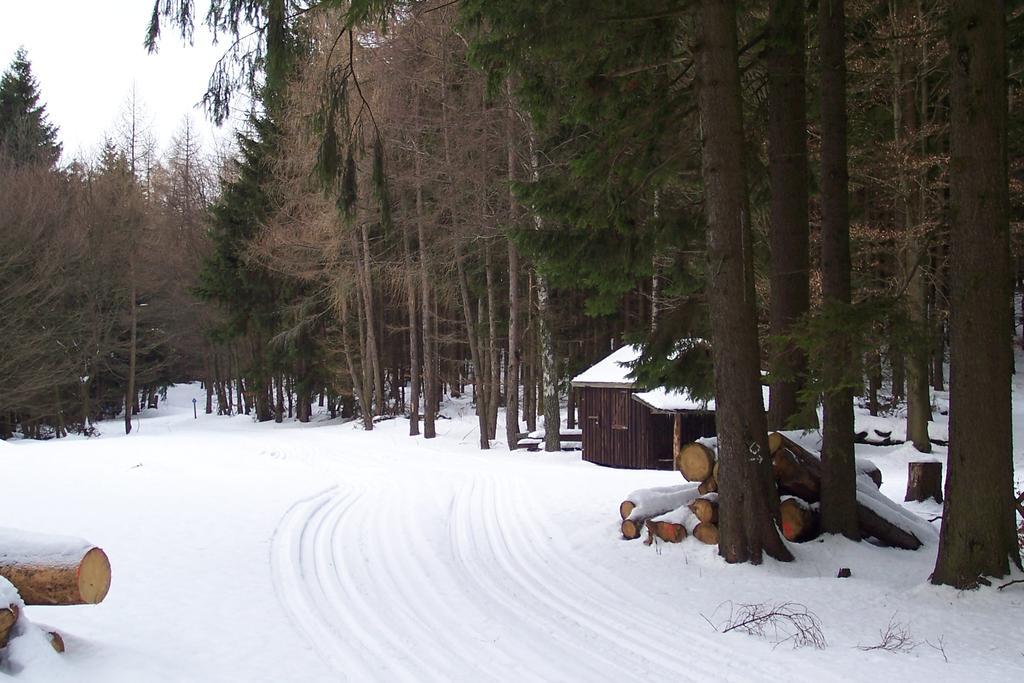 Fewo Wilke Willingen  Exterior photo