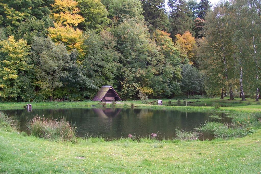 Fewo Wilke Willingen  Exterior photo