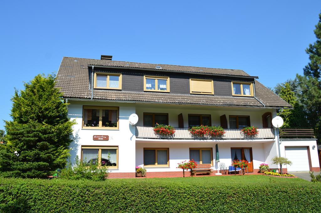 Fewo Wilke Willingen  Exterior photo